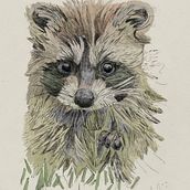 My project for course: Naturalist Illustration with Ballpoint Pen . Traditional illustration, Drawing, Realistic Drawing, and Naturalistic Illustration project by wiredling - 09.01.2022