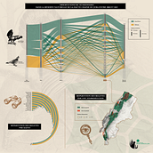 Mon projet du cours : Dataviz : Observation du Grand Tétras sur les 20 dernières années . Proiectarea informațiilor & Infografice de fabien Marchal - 09.01.2022