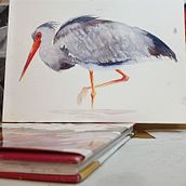 expressive watercolour bird. Un proyecto de Bellas Artes de judith_blades - 01.09.2022