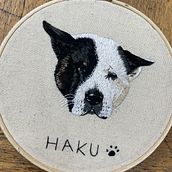 Mi proyecto del curso: Needle painting para principiantes. Een project van Borduurwerk, Naturalistische illustratie y Textielontwerp van ariela_hairdresser - 28.08.2022