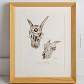Cráneo de cabra. Serie acuarela "Agricultura biodinámica". Un progetto di Illustrazione tradizionale, Artigianato, Design editoriale, Belle arti, Graphic design, Pittura, Disegno, Disegno realistico, Disegno artistico, Illustrazione botanica, Illustrazione naturalistica, Design e Illustrazione editoriale di Toñi García - 01.09.2022