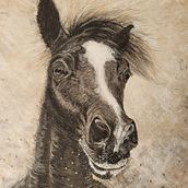 Horse Portrait - mon projet du cours : Portrait artistique au fusain : créez des ambiances. Un projet de Beaux Arts, Dessin, Dessin de portrait, Dessin réaliste, Dessin artistique et Illustration traditionnelle de Oliwia - 02.09.2022