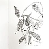 Flores com hachuras. Traditional illustration project by Mercia Liane Monteiro - 07.31.2021