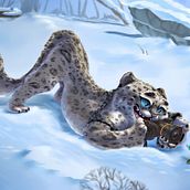 My project for course: Character Design: Illustrate an Expressive Creature. Traditional illustration, Character Design, Drawing, and Digital Illustration project by Savyon Arbel - 08.31.2022