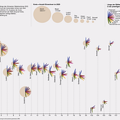 Mein Kursprojekt: Datenvisualisierung und Informationsdesign: Visualisierung des Städteranking 2021 der Schweiz. Information Design, Interactive Design & Infographics project by Zeliya Schär - 09.04.2022