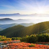 Hiking. Writing, Creativit, Stor, telling, Narrative, and Creative Writing project by Crystal Gomes - 08.30.2022