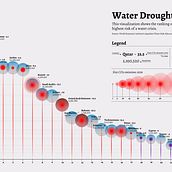 Data Visualization of the 24 countries with the highest risk of Water Drought in 2021. Projekt z dziedziny Projektowanie informacji, Projektowanie interakt, wne i Infografika użytkownika bernis - 30.08.2022