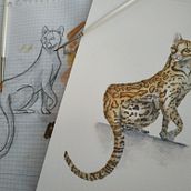 Mi proyecto del curso: Ilustración científica de animales en acuarela. Traditional illustration, Watercolor Painting, Realistic Drawing, and Naturalistic Illustration project by Bárbara Vidal Mas - 09.03.2022