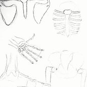 Mi proyecto del curso: Dibujo anatómico de extremidades, manos y pies. Fine Arts, Sketching, Pencil Drawing, Drawing, Portrait Drawing, Realistic Drawing, Artistic Drawing, Sketchbook, Figure Drawing & Ink Illustration project by Abraham Salinas - 07.30.2022