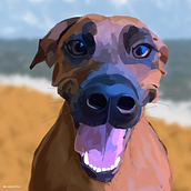 My project for course: Caricature Drawing with Infinite Painter. Traditional illustration, and Digital Illustration project by kataletho - 09.04.2022