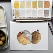 My project for course: Botanical Watercolor: Illustrating Art and Science. Traditional illustration, Fine Arts, Painting, Drawing, Watercolor Painting, and Botanical Illustration project by Hchieh Ang - 09.05.2022