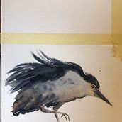 Il mio progetto del corso: Acquerelli naturalistici espressivi e con personalità. Un progetto di Illustrazione tradizionale, Pittura ad acquerello e Illustrazione naturalistica di Valentina Torboli Rapetti - 05.09.2022