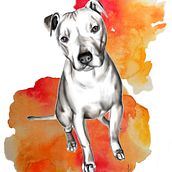 Mascotas Ein Projekt aus dem Bereich Traditionelle Illustration, Bildende Künste, Multimedia, Kreativität und Zeichnung von Claudia Acosta García - 05.09.2022