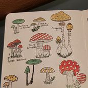 My project for course: Illustration Techniques to Unlock your Creativity. Projekt z dziedziny Design, Trad, c, jna ilustracja,  Sztuki piękne,  Malarstwo, Kreat, wność, Kreat, wne zabaw, z dziećmi i Sketchbook użytkownika Gökçe Bilici - 05.09.2022