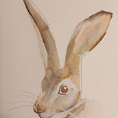 Il mio progetto del corso: Tecniche sperimentali di acquerello per principianti Ein Projekt aus dem Bereich Traditionelle Illustration, Bildende Künste, Aquarellmalerei und Naturalistische Illustration von ilaria_bottino_88 - 05.09.2022