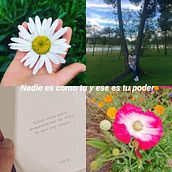 Mi proyecto del curso: Creación y edición de contenido para Instagram Stories. Social Media, Mobile Photograph, Digital Marketing, Digital Photograph, Mobile Marketing, Instagram, Content Marketing, Instagram Photograph, Instagram Marketing, Lifest, and le Photograph project by lynamarcelap - 09.06.2022