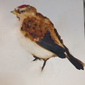 expressive Birds projects. Un proyecto de Pintura a la acuarela e Ilustración tradicional de judith_blades - 06.09.2022