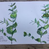 Illustrating the natural world through water colour and charcoal: Folliage. Pintura projeto de Joan - 02.09.2022