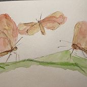My project for course: Creative Watercolor Sketching for Beginners Ein Projekt aus dem Bereich Traditionelle Illustration, Skizzenentwurf, Kreativität, Zeichnung, Aquarellmalerei und Sketchbook von Cheryl Garcia - 06.09.2022