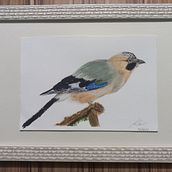 Meu projeto do curso: Aquarela naturalista com expressão e personalidade. Traditional illustration, Watercolor Painting, and Naturalistic Illustration project by Katia Cristina Mourão - 11.02.2023