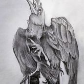 Raven, graphit . Un progetto di Illustrazione tradizionale di Carlos Nievas - 06.09.2022