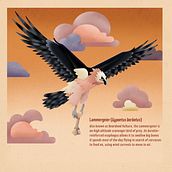 Gypaetus barbatus. Een project van Vectorillustratie, Digitale illustratie y Kinderillustratie van mattiabardini.98 - 06.09.2022