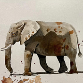 Mixed Media: Watercolour and Pencil. Un proyecto de Pintura e Ilustración tradicional de Alanie Botha-Austin - 07.09.2022