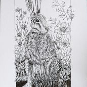 My project for course: Dip Pen and Ink Illustration: Capturing The Natural World. Sketching, Drawing, Artistic Drawing, Sketchbook, Ink Illustration, and Naturalistic Illustration project by Gail Townsend - 09.06.2022