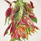 Mon projet du cours : Carnet de croquis botanique : une approche méditative. Traditional illustration, Sketching, Drawing, Watercolor Painting, Botanical Illustration, and Sketchbook project by christine cere - 09.07.2022