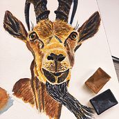 Mi proyecto del curso: Técnicas experimentales de acuarela para principiantes. Traditional illustration, Fine Arts, Watercolor Painting, and Naturalistic Illustration project by Regina - 08.22.2022