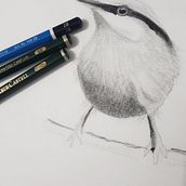 Meu projeto do curso: Técnicas expressivas de aquarela para ilustração de pássaros. Traditional illustration, Watercolor Painting, Realistic Drawing, and Naturalistic Illustration project by Fabiano Araujo - 09.09.2022