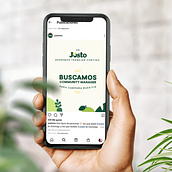 Justo: El Perfecto Community. Advertising project by Nadia Molina - 10.30.2020