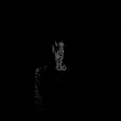 My project for course: Creative Coding: Making Visuals with JavaScript. Motion Graphics, Multimedia, and JavaScript project by saxdasax - 09.09.2022
