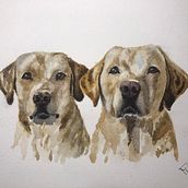 My project for course: Expressive Animal Portraits in Watercolor. Un proyecto de Ilustración tradicional, Pintura a la acuarela, Dibujo realista e Ilustración naturalista				 de Teodora Nagy - 10.09.2022