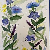 My project for course: Artistic Floral Watercolor: Connect with Nature. Un projet de Illustration traditionnelle, Peinture, Aquarelle et Illustration botanique de Barb Weaver - 10.09.2022