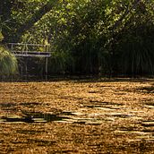 Mon projet du cours : Photographie de paysage et de nature. Un progetto di Fotografia, Fotografia all'aperto, Fotografia per Instagram, Fotografia documentaria e Composizione fotografica di Ambre SIMON - 11.09.2022