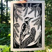 Great Spotted Woodpecker: Lino print (26 x 38cm). Een project van Traditionele illustratie, Craft,  Beeldende kunst y Printen van Yasna Dolezal - 11.09.2022