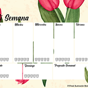Mi proyecto del curso: Ilustración botánica con acuarela. Traditional illustration, Fine Arts, Painting, Drawing, Watercolor Painting, and Botanical Illustration project by Goutiie - 09.12.2022