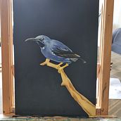 Mon projet du cours : Peinture à l'huile classique et portrait naturaliste d'oiseaux. Fine Arts, Painting, Oil Painting, and Naturalistic Illustration project by chloe_r - 09.12.2022