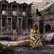 El Templo de la Tigresa. Photograph, Photograph, Post-production, VFX, Photo Retouching, Fine-Art Photograph, Photographic Composition, and Photomontage project by Sergio Méndez Pozos - 09.11.2022