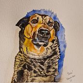 Mein Kursprojekt: Ausdrucksstarke Tierporträts in Aquarell. Traditional illustration, Watercolor Painting, Realistic Drawing, and Naturalistic Illustration project by Nanette Haas - 09.13.2022