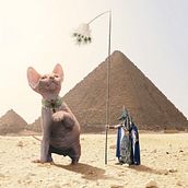 My project for course: Surrealistic Photomontage with Photoshop . % ahmad alazzeh tarafından hazırlanan Fotoğraf Post Prodüksi, on, Fotoğraf Rötuşlama, Dijital Fotoğrafçılık, Fotoğrafik Kompozis, on, Ve Fotomontaj projesi - 09.13.2022