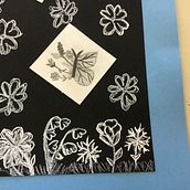 Converse Shoe Drawing and Butterfly’s. Un progetto di Disegno, Design di scarpe, Disegno a matita, Disegno realistico e Disegno artistico di Cassidy Burns - 14.09.2022