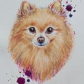 My project for course: Expressive Animal Portraits in Watercolor. Projekt z dziedziny Trad, c, jna ilustracja, Malowanie akwarelą, R, sunek realist, czn, Ilustracja naturalist i czna użytkownika Maarja Sinijärv - 14.09.2022