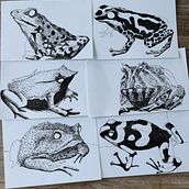 kikkerdrill. Un proyecto de Ilustración tradicional de gerry willems - 16.09.2022