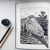 My project for course: Dip Pen and Ink Illustration: Capturing The Natural World. Sketching, Drawing, Artistic Drawing, Sketchbook, Ink Illustration, and Naturalistic Illustration project by Anna Petrikova - 09.16.2022