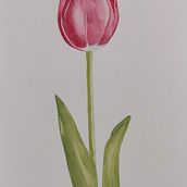 Mi proyecto del curso: Cuaderno botánico en acuarela. Un proyecto de Ilustración tradicional, Pintura a la acuarela, Ilustración botánica y Sketchbook de Noelia Rojas - 17.09.2022