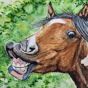 Laughing horse - Mon projet du cours : Portraits expressifs d'animaux à l'aquarelle. Un projet de Illustration traditionnelle , et Peinture de Oliwia - 19.09.2022