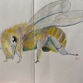 Mi proyecto del curso: Ilustración surrealista inspirada en la naturaleza. Traditional illustration, Pencil Drawing, Drawing, Artistic Drawing, Naturalistic Illustration, and Colored Pencil Drawing project by a_c_c - 09.17.2022