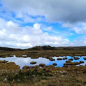 Mi proyecto del curso: Fotografía de paisaje y naturaleza. Photograph, Outdoor Photograph, Instagram Photograph, Documentar, Photograph, and Photographic Composition project by Katerine Lozano - 09.20.2022